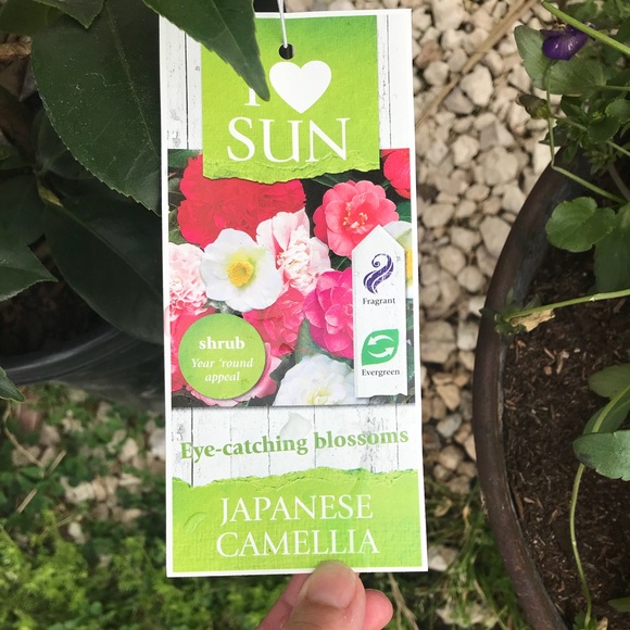 Meet your Posher, Kyla - Picture 1 of 1